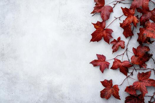 Vibrant red leaves contrast against a neutral background in autumn display photo