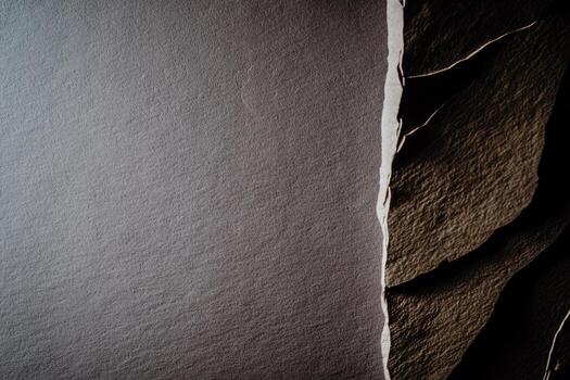 Textured surface showcasing contrast between smooth and rugged materials in natural light photo