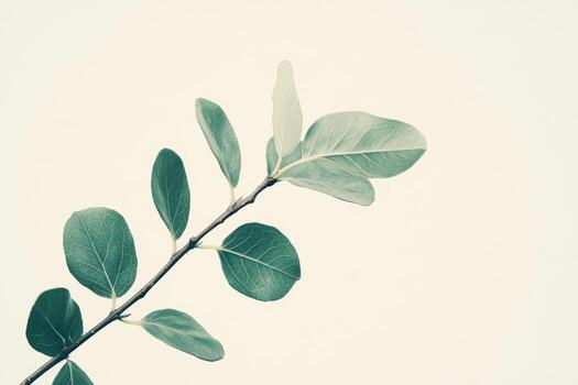 Green leaves on a branch against a light background create a serene and calming atmosphere photo