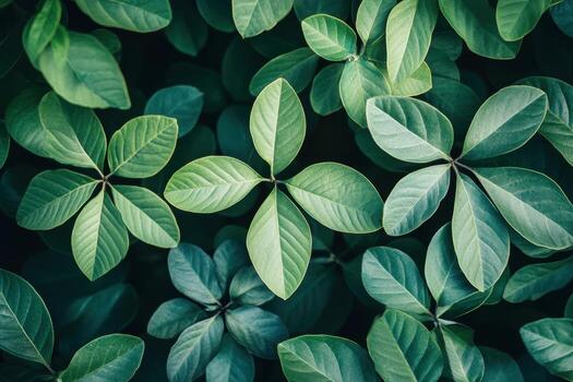 lozano verde hojas crear un hermosa natural textura en un jardín ajuste durante tiempo de día foto