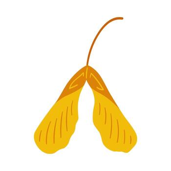 semillas de sicomoro arce árbol, amarillo y marrón colores. sencillo dibujado a mano elemento en un blanco antecedentes para pegatinas, web diseño, y postales vector