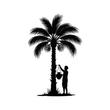 Silhouette of a person collecting palm sap from a date palm tree vector