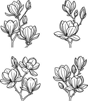 Four different magnolia flower illustrations are depicted in simple line art, perfect for botanical design projects. vector