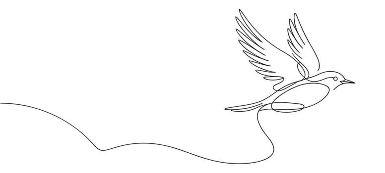 Minimalist continuous line drawing of a bird in flight with a flowing tail flying animal vector