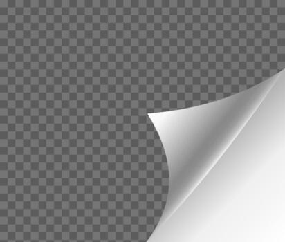 A realistic image of a page with its corner curled vector