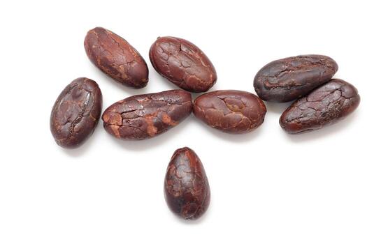 Cocoa bean on white background photo