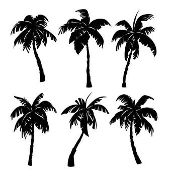 Silhouette set of various palm trees with different shapes and curves on a white background. Cartoon illustration vector