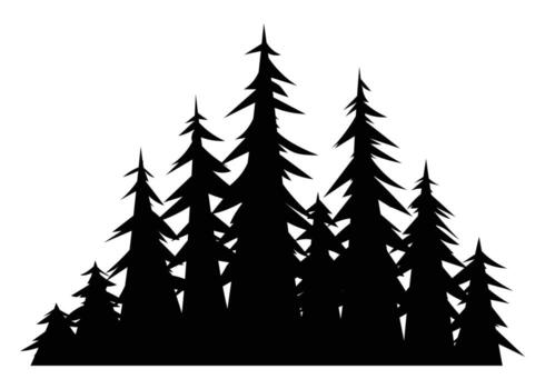 Silhouette of pine trees with sharp points forming a dense forest cluster. Cartoon illustration vector