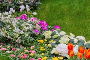 vistoso flor jardín con vibrante floraciones y lozano verde césped creando un sereno atmósfera foto