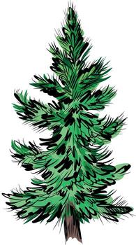 mano dibujado bosquejo de verde abeto árbol con ramas vector