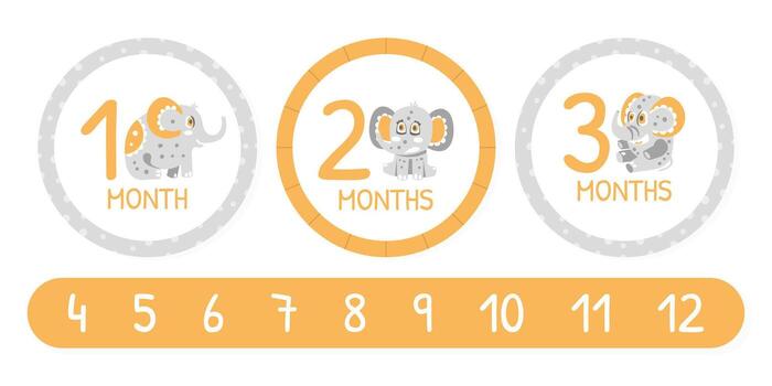 Month Card with Cute Elephant Character with Trunk and Tusks Template vector