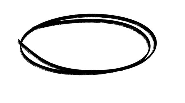 Handdrawn oval frame on white background, simple design element vector