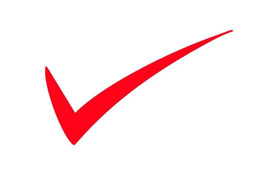 Red Check Mark Symbol on White Background, Approval, Confirmation, and Selection Concept vector
