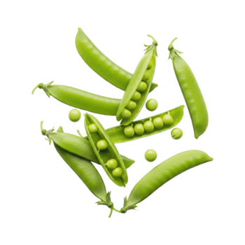 un' dinamico composizione di fresco verde piselli e Aperto baccelli apparendo per galleggiante o autunno, isolato su un' trasparente sfondo per facile la modifica png