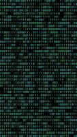 trogen binär koda matris regn animation. video