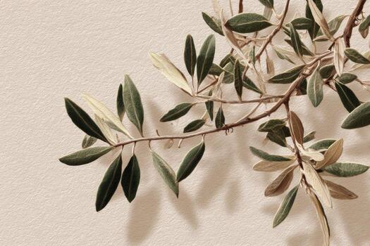 A branch of olive leaves on a wall photo