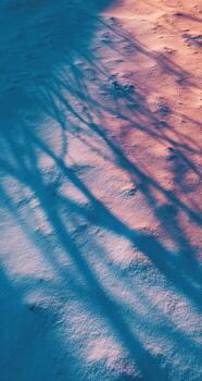 A snow covered ground with a tree shadow photo