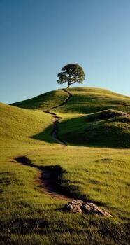 un árbol en un colina foto