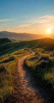 A dirt path in the middle of a grassy field photo