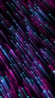 dinamico leggero modelli creare un immersiva Esperienza nel vivace colori video