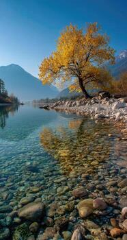 un árbol es en pie en el agua con rocas y guijarros foto