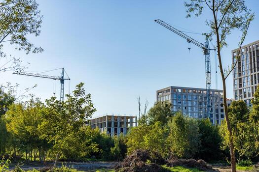 Workers are busy constructing multiple new buildings with cranes in a developing urban area, framed by lush trees and clear skies photo