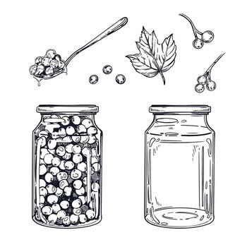 A set of illustrations on the theme of blanks, preservation of viburnum berry jam, an empty jar, a teaspoon with jam. Everything is hand-drawn with ink, for printing on paper, fabric, packaging vector