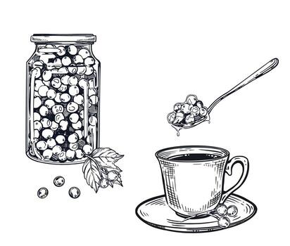 Tea drinking with viburnum jam, a cup of tea with a spoonful of jam, viburnum leaves. All objects are hand-drawn in ink. The illustration is suitable for printing on packaging, textiles vector