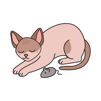 un lindo, ligero marrón siamés gato es descansando con sus ojos cerrado. un pequeño gris ratón juguete es cercano, agregando un juguetón elemento a el escena. vector