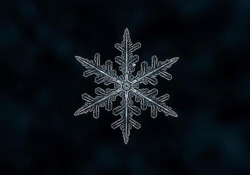 An Intricate Macro Of A Unique Ice Crystal, Highlighting Its Delicate Structure And Symmetrical Form Against A Dark Winter Background. photo