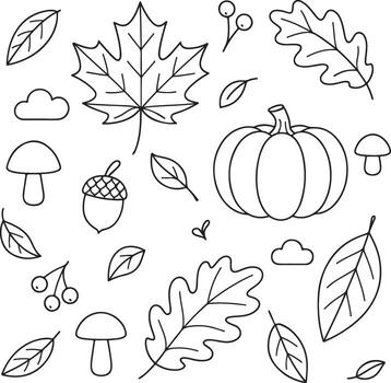 Illustration featuring various autumn leaves, mushrooms, acorns, and a pumpkin, creating a whimsical seasonal design with nature elements and playful shapes vector