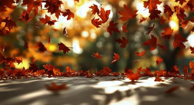 Vibrant Autumn Leaves Falling Gently on a Sunlit Ground in a Serene Park Setting photo