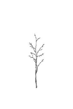 Abstract flowing lines create a sense of calm and modern design, perfect for backgrounds photo