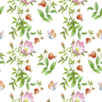 modelo de rosa mosqueta y mariposa. hecho a mano acuarela Arte trabajar. para embalaje diseño, tarjetas, cubrir, huellas dactilares, producto etiquetas y tela. png