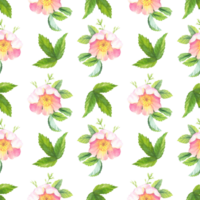 sin costura modelo de escaramujos. acuarela Arte trabajar. para diseño, tarjetas, cubrir, huellas dactilares, producto etiquetas y tela. png