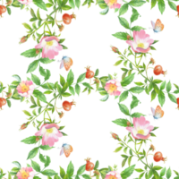 sin costura modelo de rosa mosqueta y mariposa. acuarela Arte trabajar. para embalaje diseño, tarjetas, cubrir, huellas dactilares, producto etiquetas y tela. png