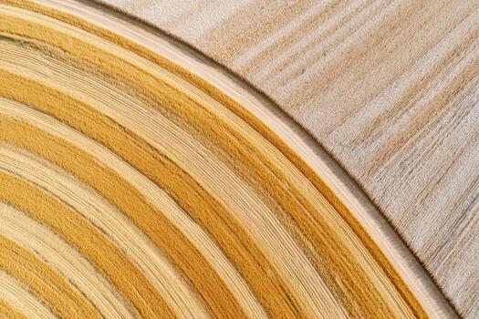 Combine harvester cutting wheat in a circular pattern creating concentric circles in a field photo