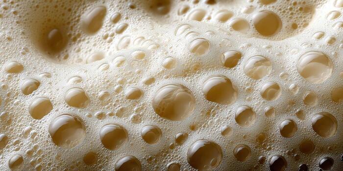 A close up of a slice of bread with bubbles photo