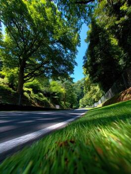 A view of a road with trees and grass photo