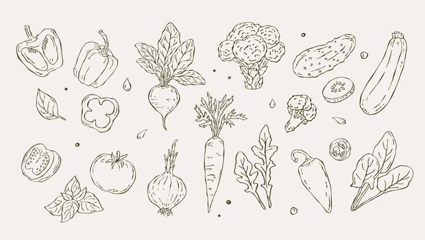Hand-drawn sketch set of vegetables and greens. Includes bell pepper, beetroot, broccoli, cucumber, zucchini, carrot, tomato, spinach, arugula, and onion in a minimal doodle style vector