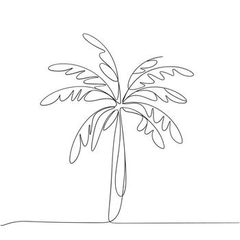 Single Line Drawing of a Palm Tree on White Background vector