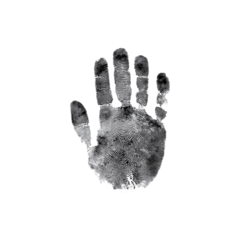 Close-Up of a Palm with Fingerprint Pattern on Transparent Background png