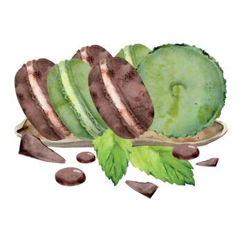 Mint chocolate macarons with chocolate pieces vector