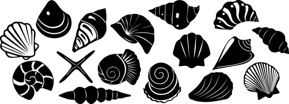 seaShell abstract form vector
