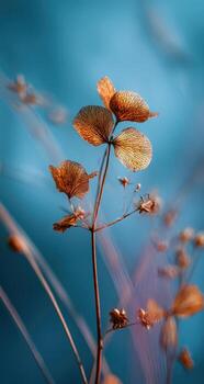 A close up of some plants with brown leaves photo
