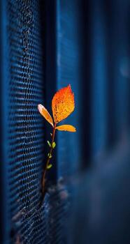 A small orange leaf growing out of a mesh fence photo