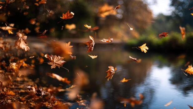 Autumn leaves falling from a tree over a river photo