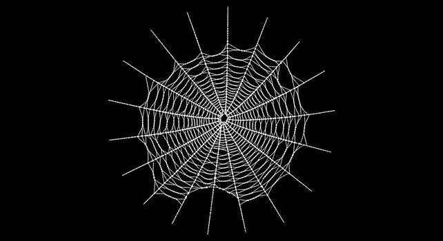 Detailed White Spider Web on Black. photo
