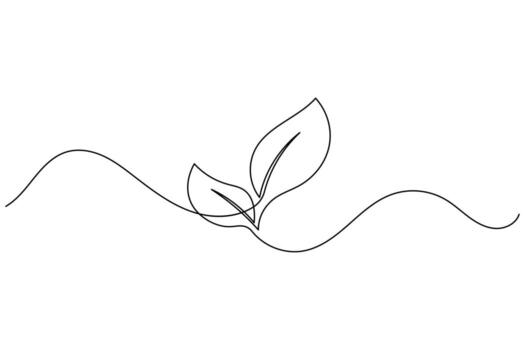 Clean and simple line drawing leaf abstract botanical art vector