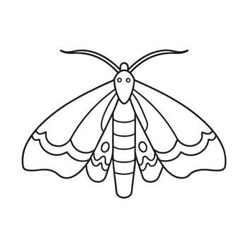 Outline drawing of a moth with patterned wings insect vector